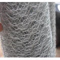 Electro Galvanized Hexagonal Wire Netting Manufacturer/Gabion Box